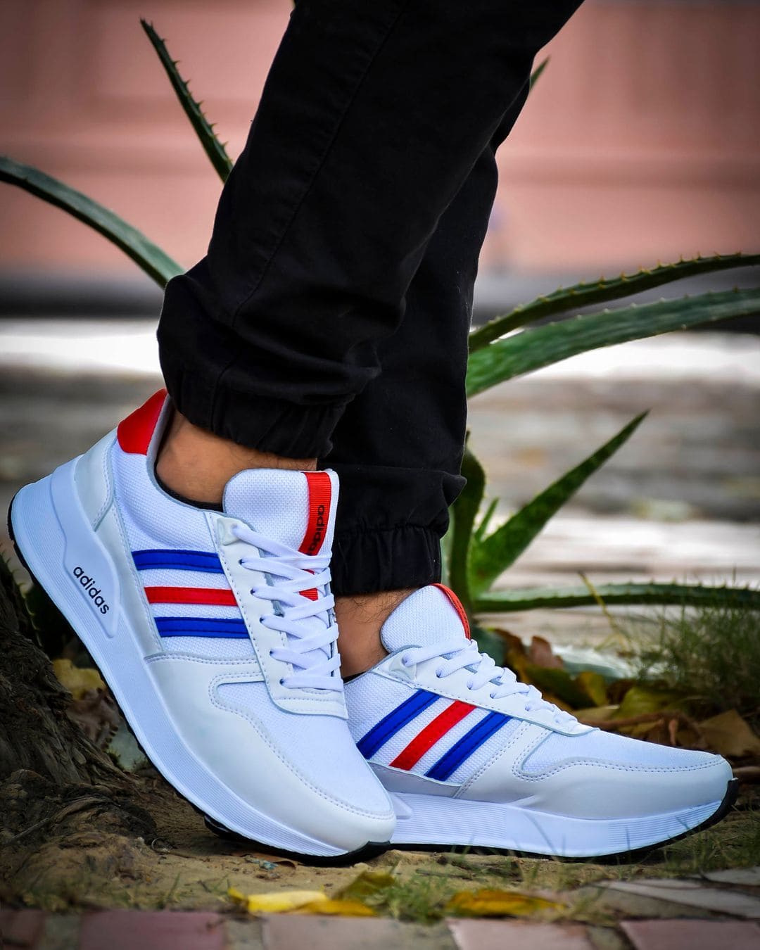 Aditri deportivos tendencia elegantes