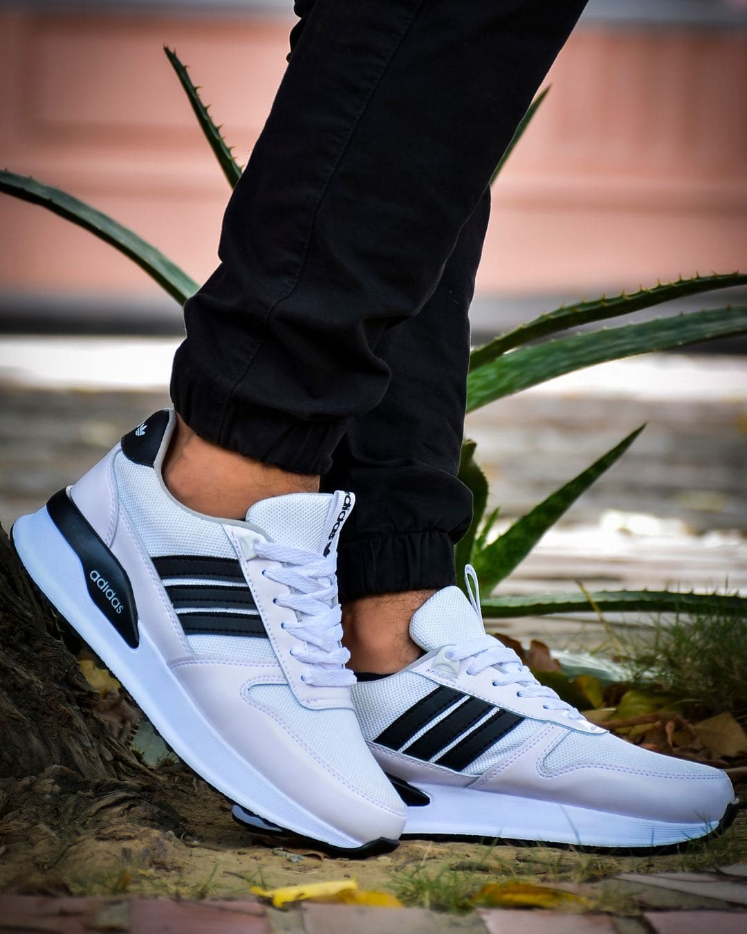 Aditri deportivos tendencia elegantes