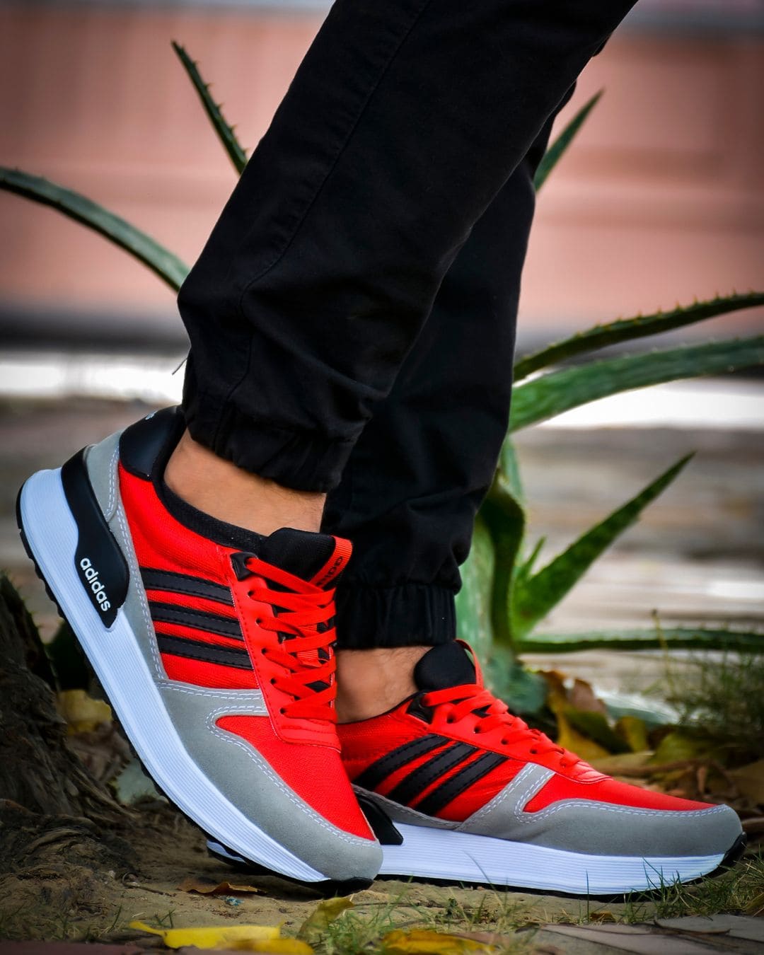 Aditri deportivos tendencia elegantes
